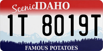 ID license plate 1T8019T
