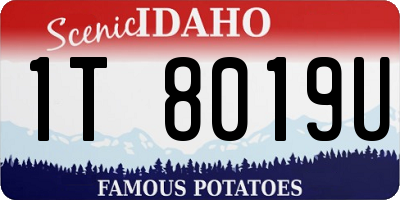 ID license plate 1T8019U