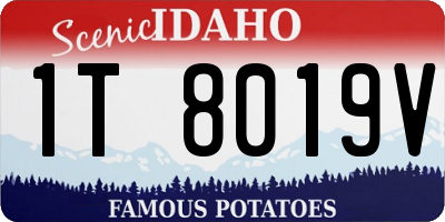 ID license plate 1T8019V
