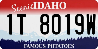 ID license plate 1T8019W