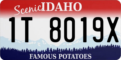ID license plate 1T8019X