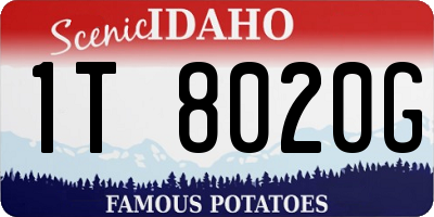 ID license plate 1T8020G