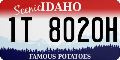 ID license plate 1T8020H