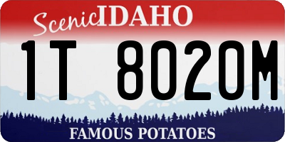 ID license plate 1T8020M