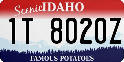 ID license plate 1T8020Z
