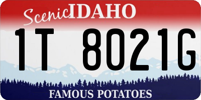 ID license plate 1T8021G