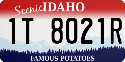 ID license plate 1T8021R