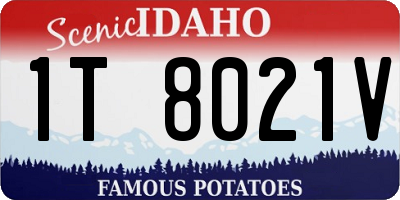 ID license plate 1T8021V