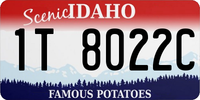 ID license plate 1T8022C