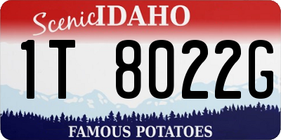 ID license plate 1T8022G