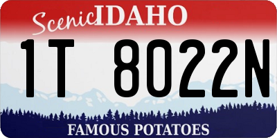 ID license plate 1T8022N