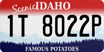 ID license plate 1T8022P