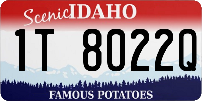 ID license plate 1T8022Q