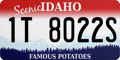 ID license plate 1T8022S