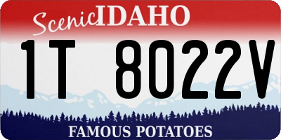ID license plate 1T8022V