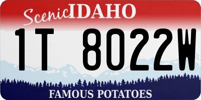 ID license plate 1T8022W
