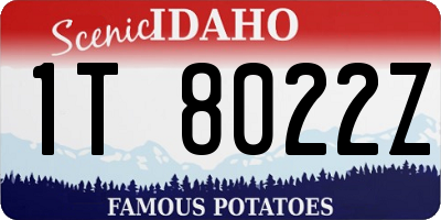 ID license plate 1T8022Z