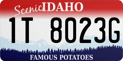 ID license plate 1T8023G