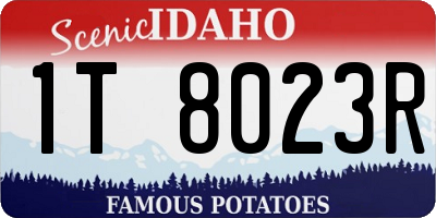 ID license plate 1T8023R