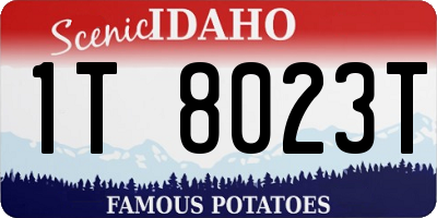 ID license plate 1T8023T