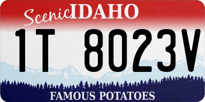 ID license plate 1T8023V