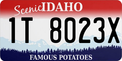 ID license plate 1T8023X