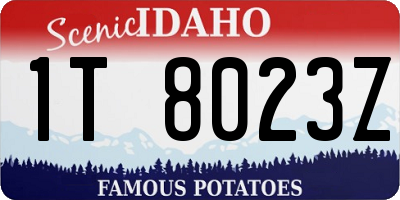 ID license plate 1T8023Z