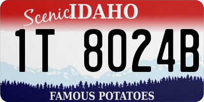 ID license plate 1T8024B