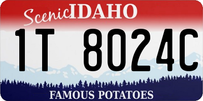 ID license plate 1T8024C