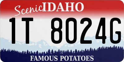 ID license plate 1T8024G