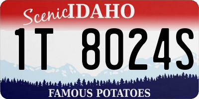 ID license plate 1T8024S
