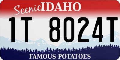 ID license plate 1T8024T