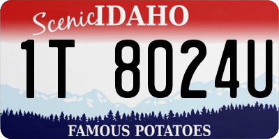 ID license plate 1T8024U