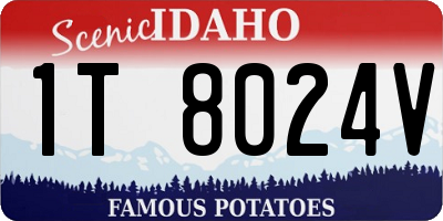 ID license plate 1T8024V