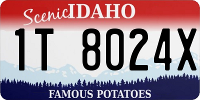 ID license plate 1T8024X