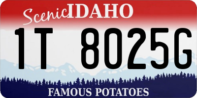 ID license plate 1T8025G