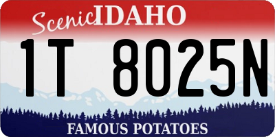 ID license plate 1T8025N