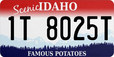 ID license plate 1T8025T