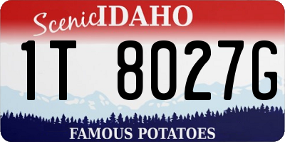 ID license plate 1T8027G