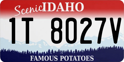 ID license plate 1T8027V