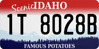 ID license plate 1T8028B