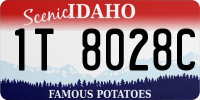ID license plate 1T8028C