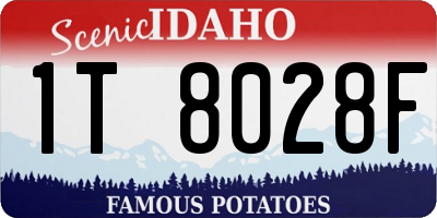 ID license plate 1T8028F