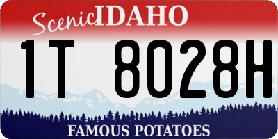 ID license plate 1T8028H