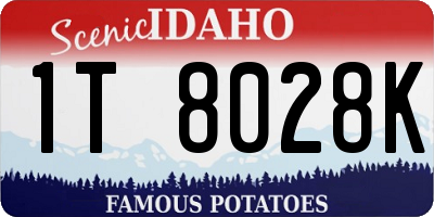 ID license plate 1T8028K