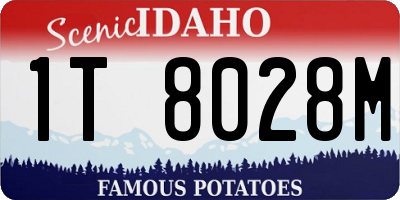 ID license plate 1T8028M
