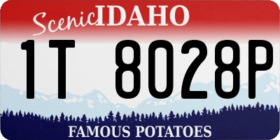 ID license plate 1T8028P