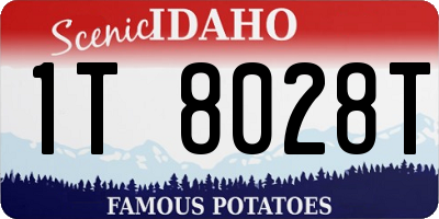 ID license plate 1T8028T