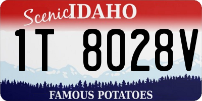 ID license plate 1T8028V
