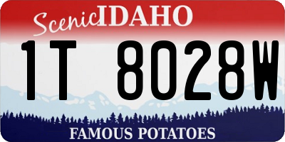 ID license plate 1T8028W